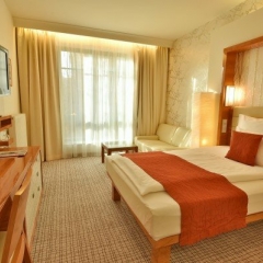 Hotel Royal Regent****, Karlovy Vary - jednolůžkový pokoj