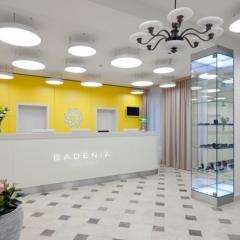 Badenia Hotel Praha***, Františkovy Lázně - Recepce